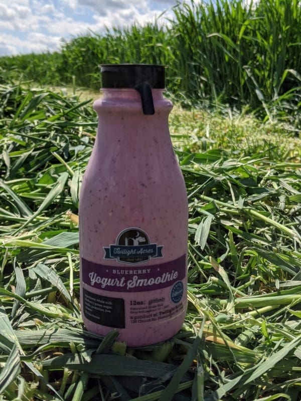 Blueberry Yogurt Smoothie